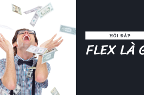 Flex là gì? và tại sao nó lại hot đến vậy