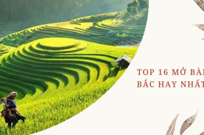 Top 16 mở bài Việt Bắc hay nhất 2024