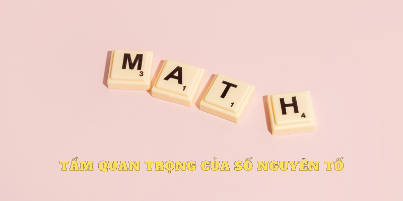 Tầm quan trọng của số nguyên tố