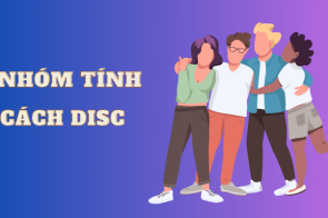 Chi tiết 4 nhóm tính cách DISC – Bạn thuộc nhóm nào?