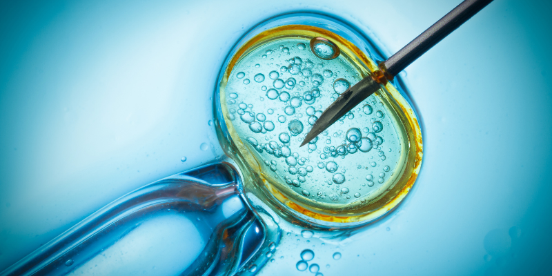  IVF là gì?  Tìm hiểu định nghĩa 