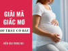 Nằm mơ vợ có bầu – Ý nghĩa và điềm báo trong giấc mơ